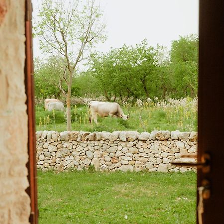 Tenuta Tedone Consolini Villa Ruvo di Puglia Exterior photo