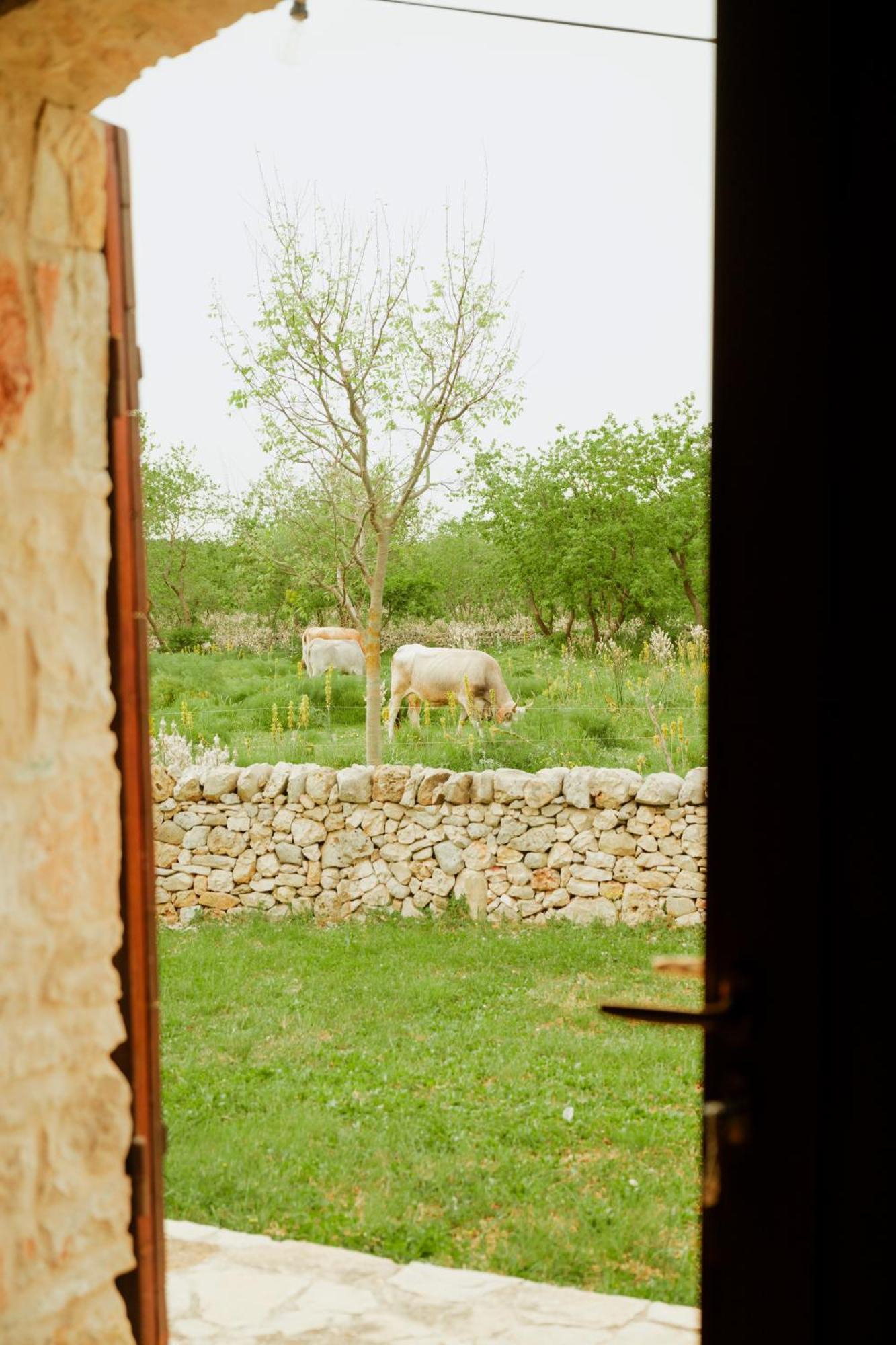 Tenuta Tedone Consolini Villa Ruvo di Puglia Exterior photo