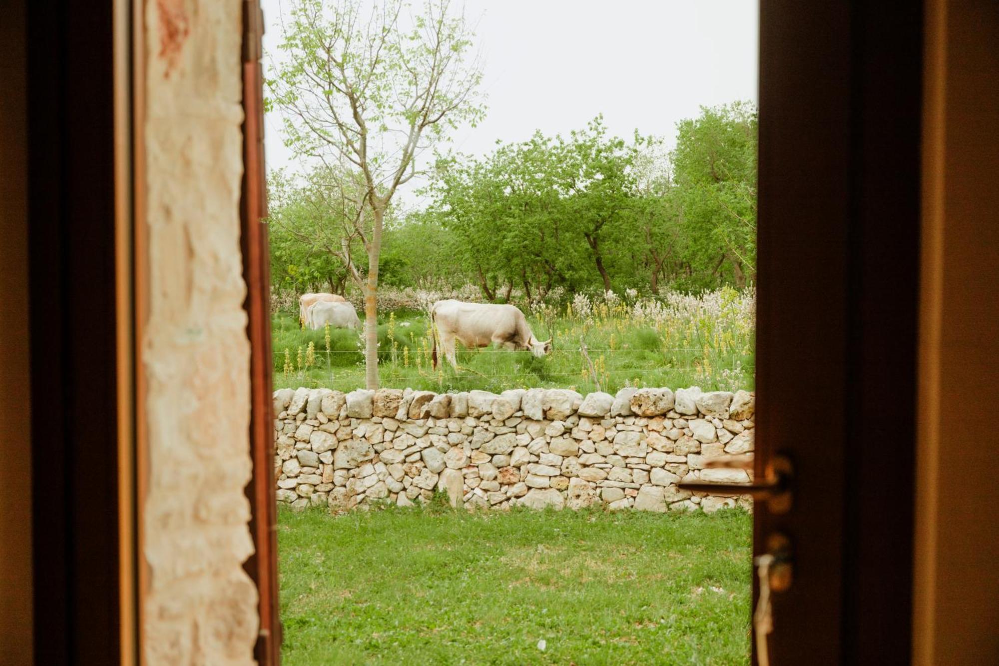 Tenuta Tedone Consolini Villa Ruvo di Puglia Exterior photo