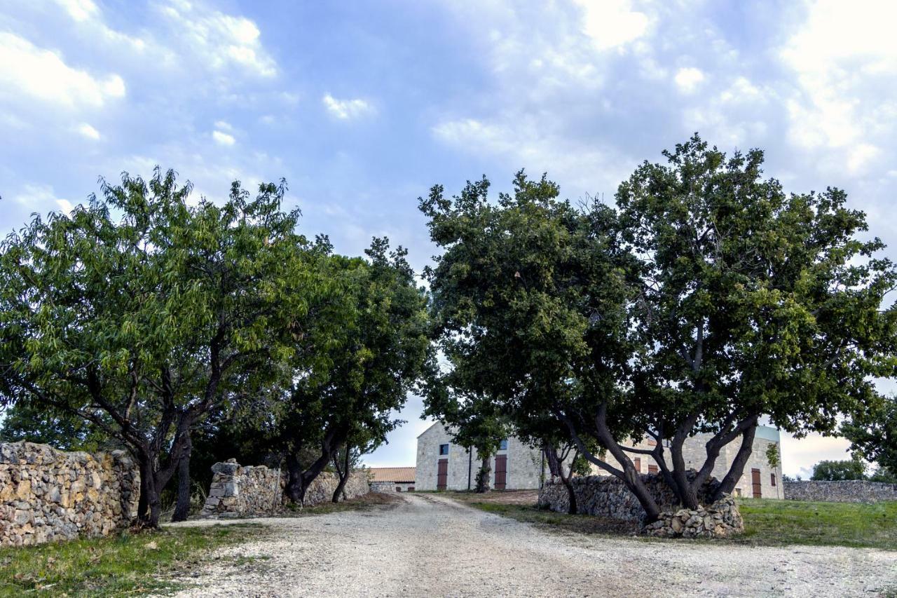 Tenuta Tedone Consolini Villa Ruvo di Puglia Exterior photo