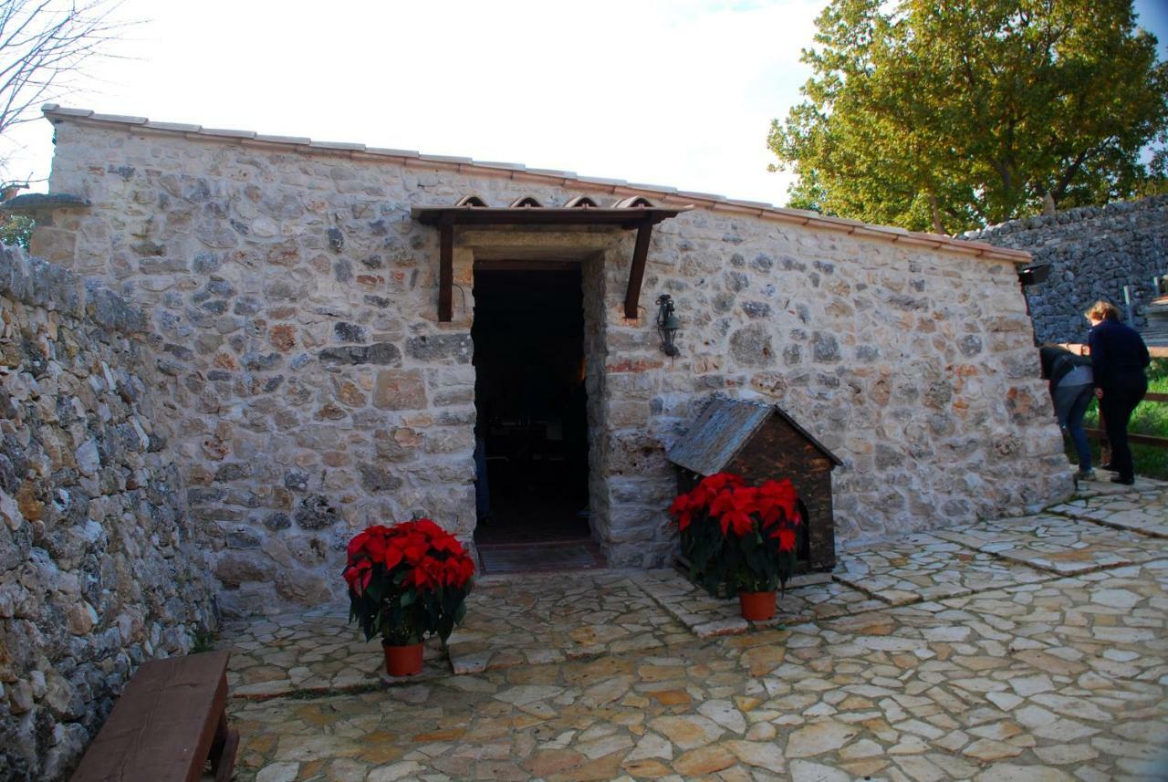 Tenuta Tedone Consolini Villa Ruvo di Puglia Exterior photo