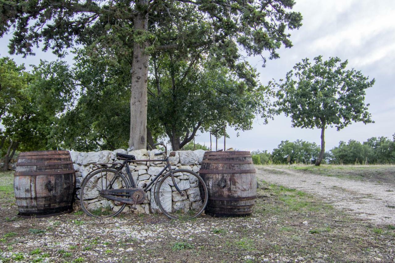 Tenuta Tedone Consolini Villa Ruvo di Puglia Exterior photo