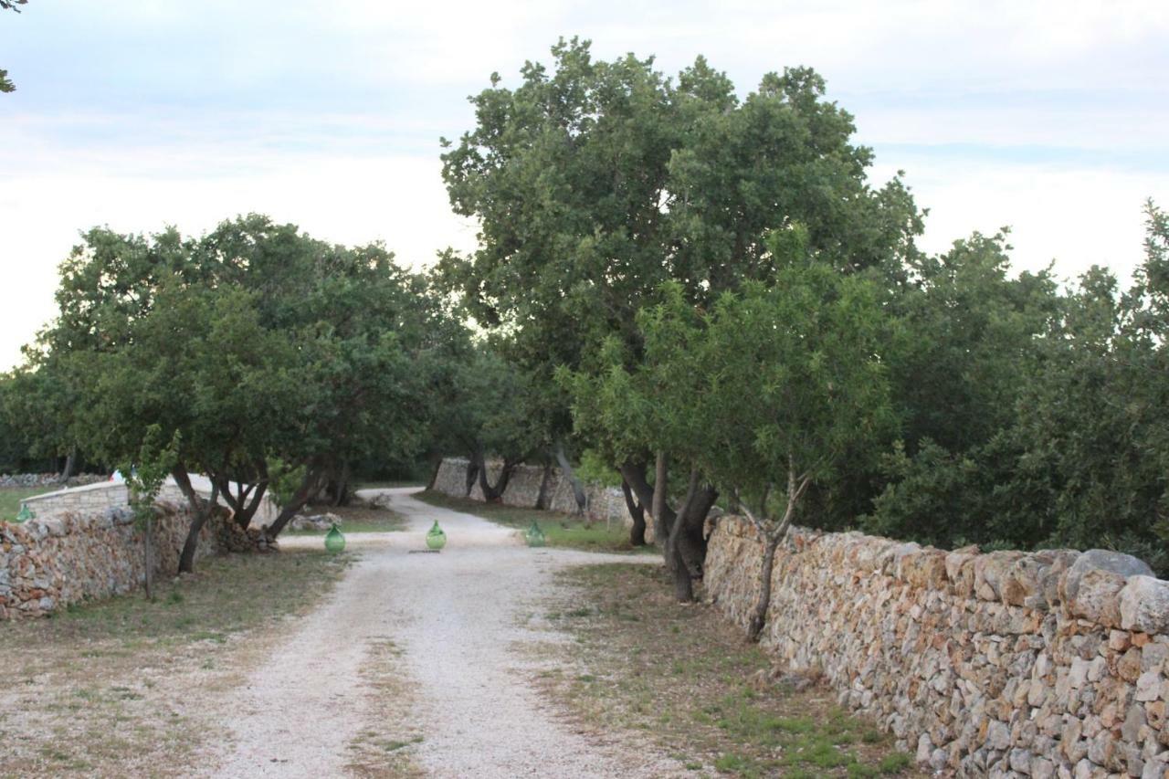 Tenuta Tedone Consolini Villa Ruvo di Puglia Exterior photo
